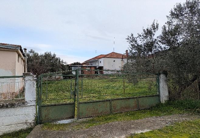 photo7