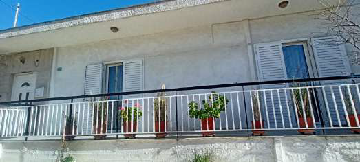 photo0