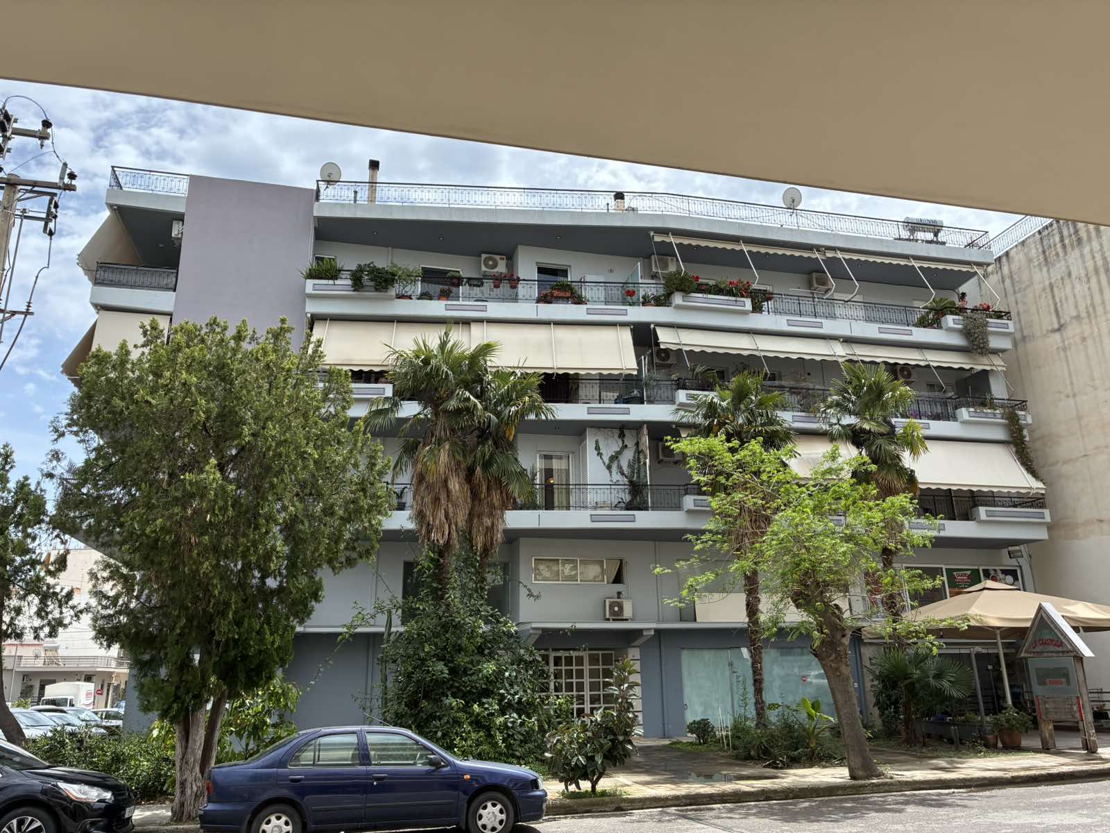 photo1