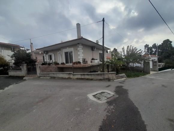 photo2