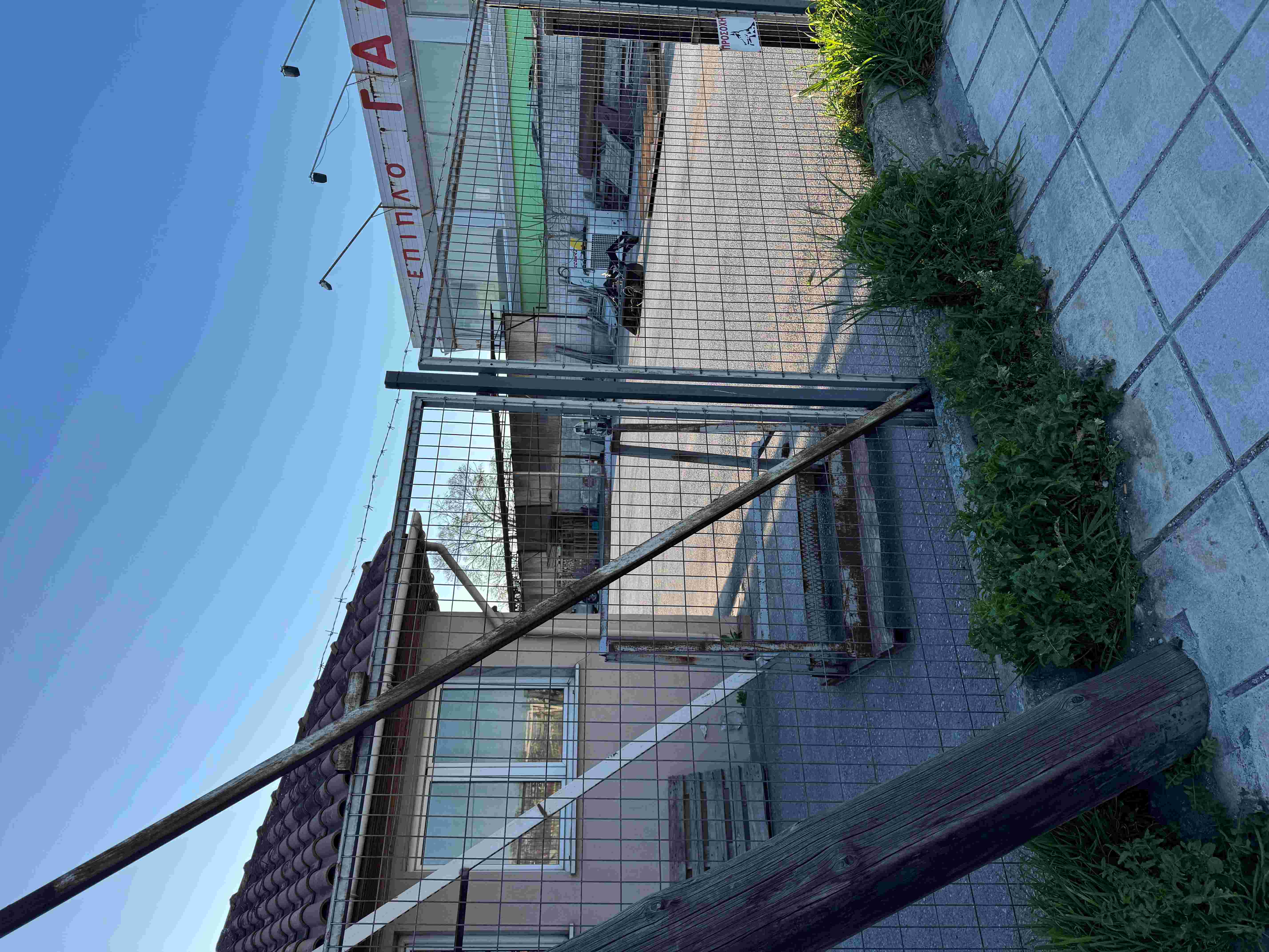 photo0