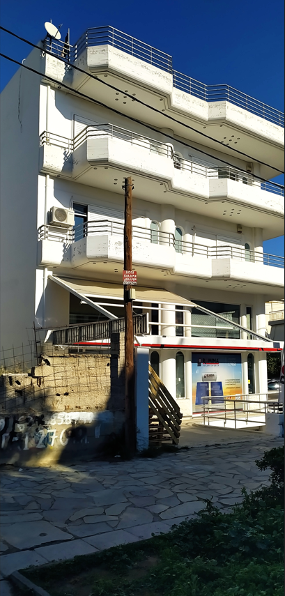 photo1