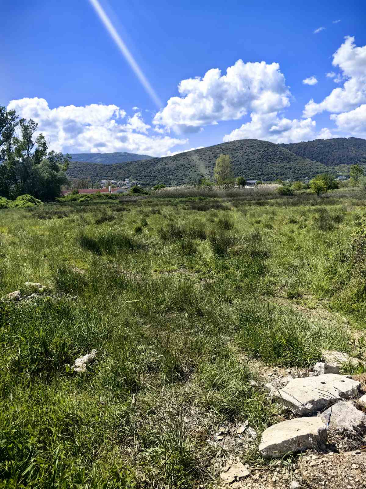 Αγροτεμάχιο  σε πλειστηριασμό Δήμος Ιωαννιτών