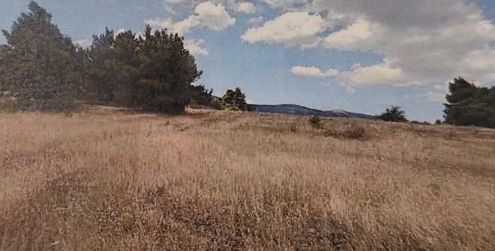 photo1