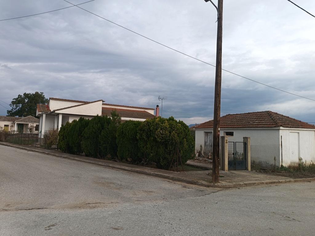 photo1