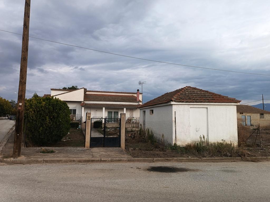 photo2