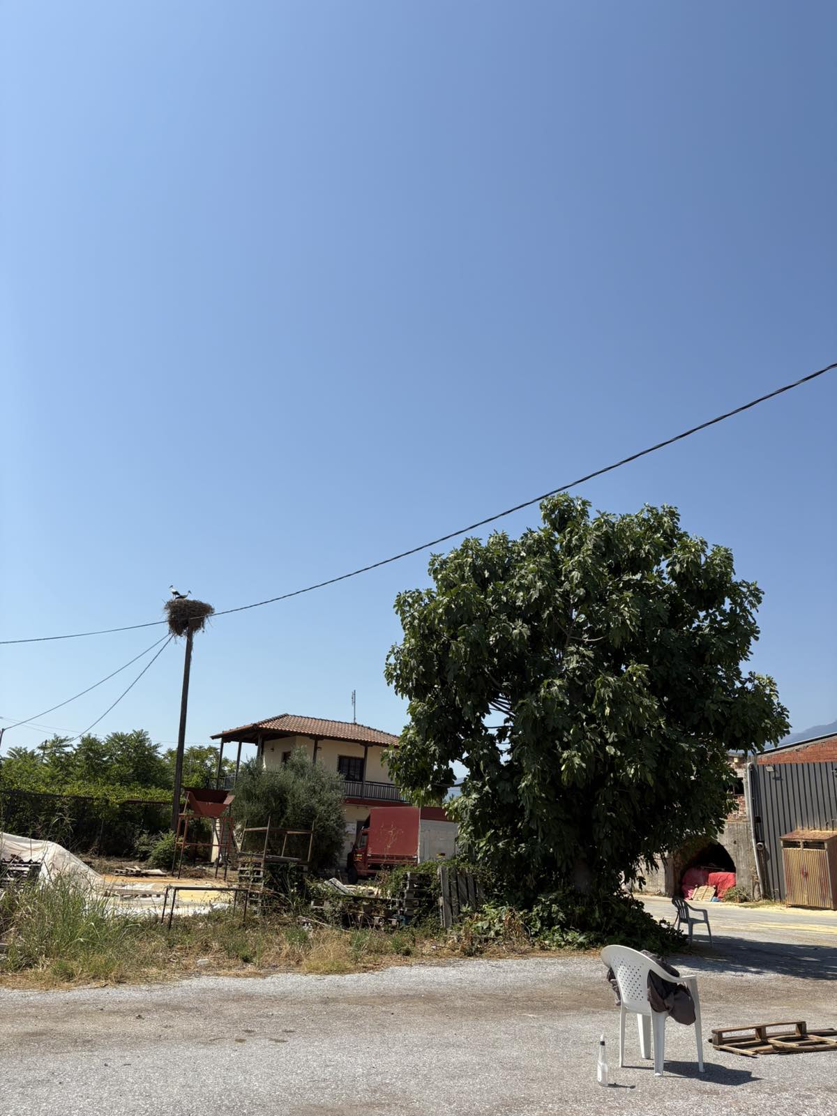 photo6