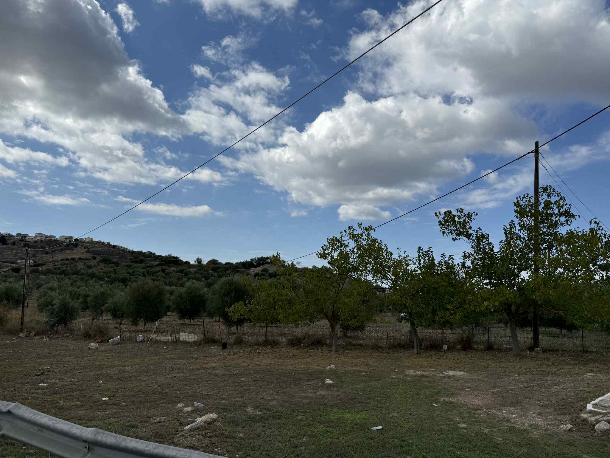 photo0