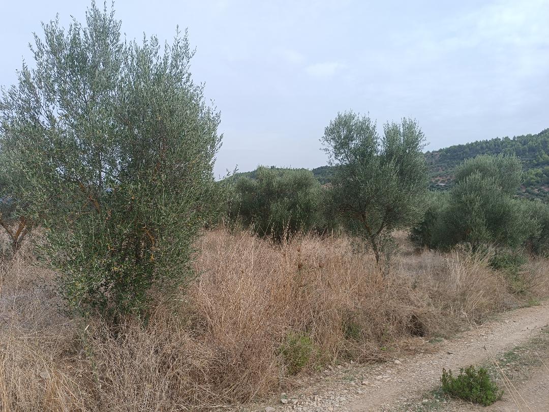 photo2