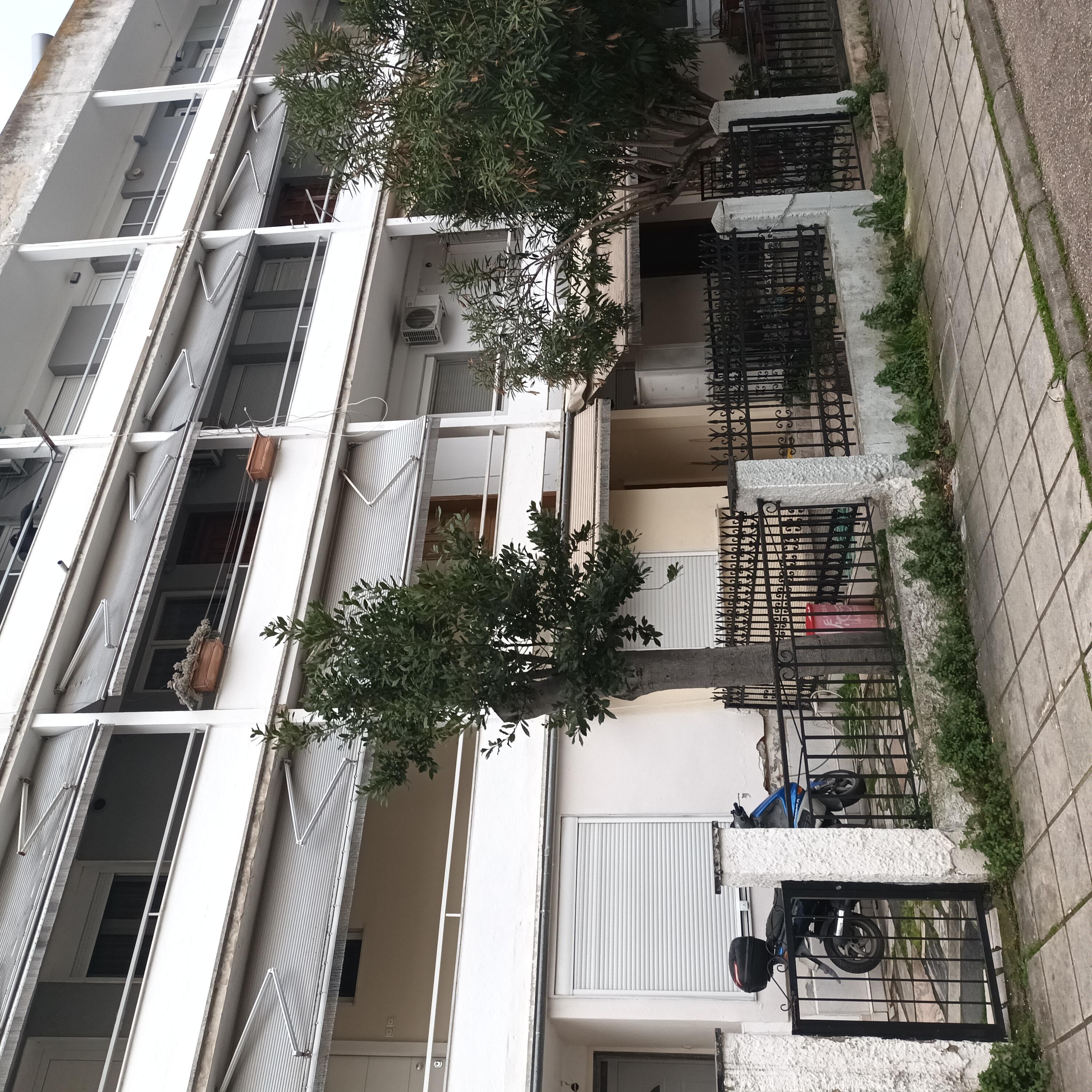 photo0