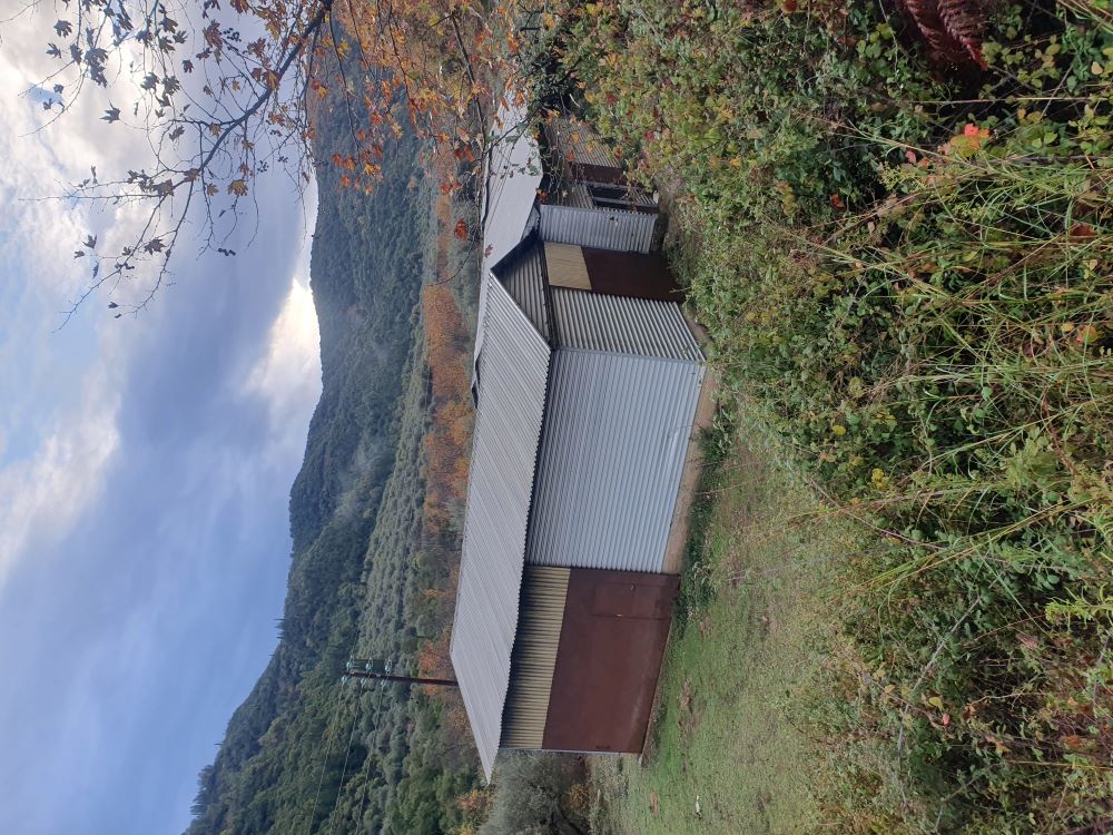 photo0