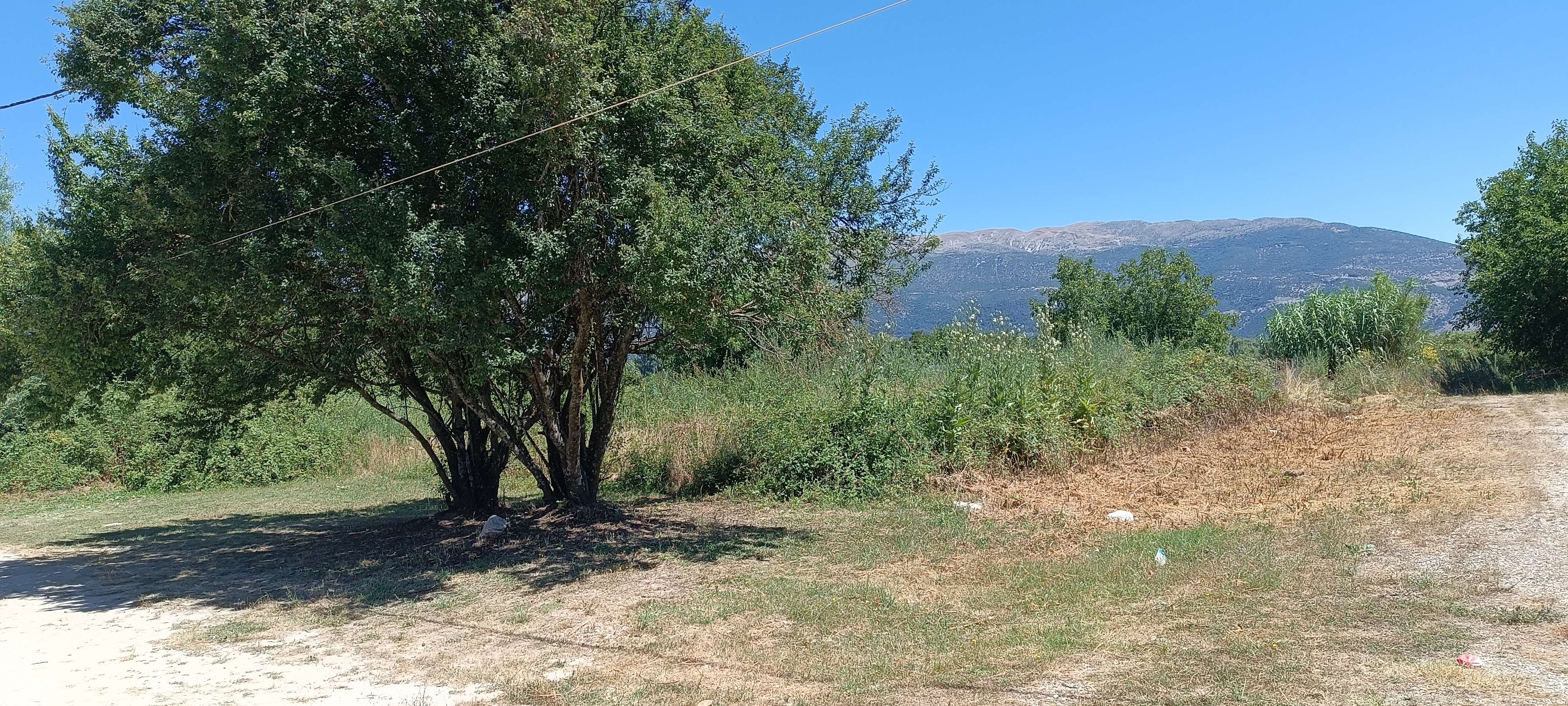photo1