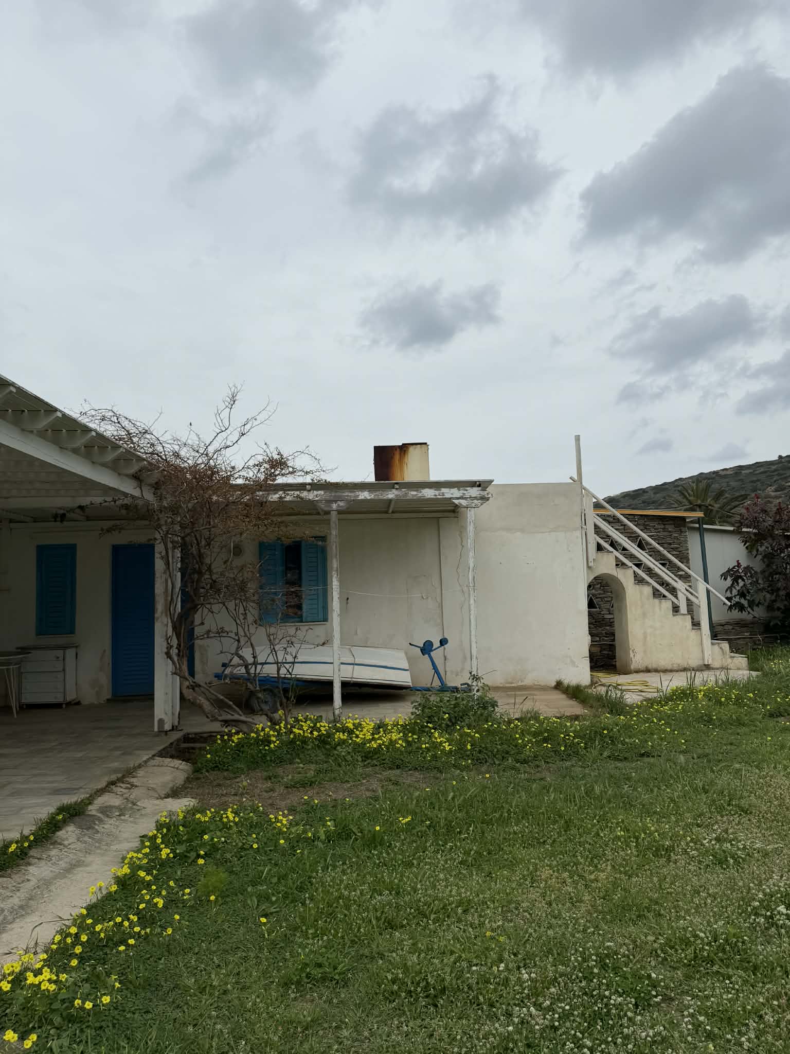 photo1