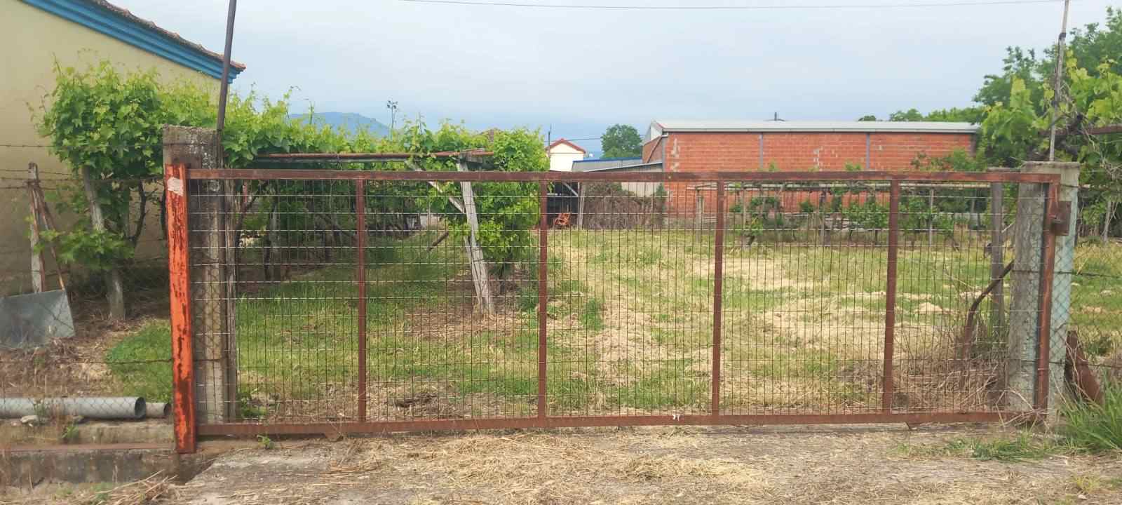photo1