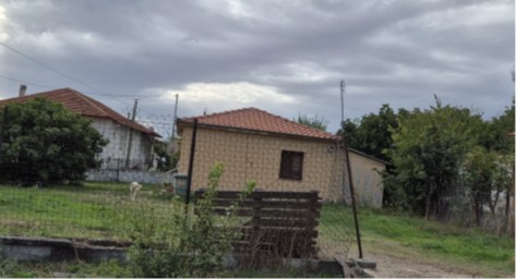 photo0