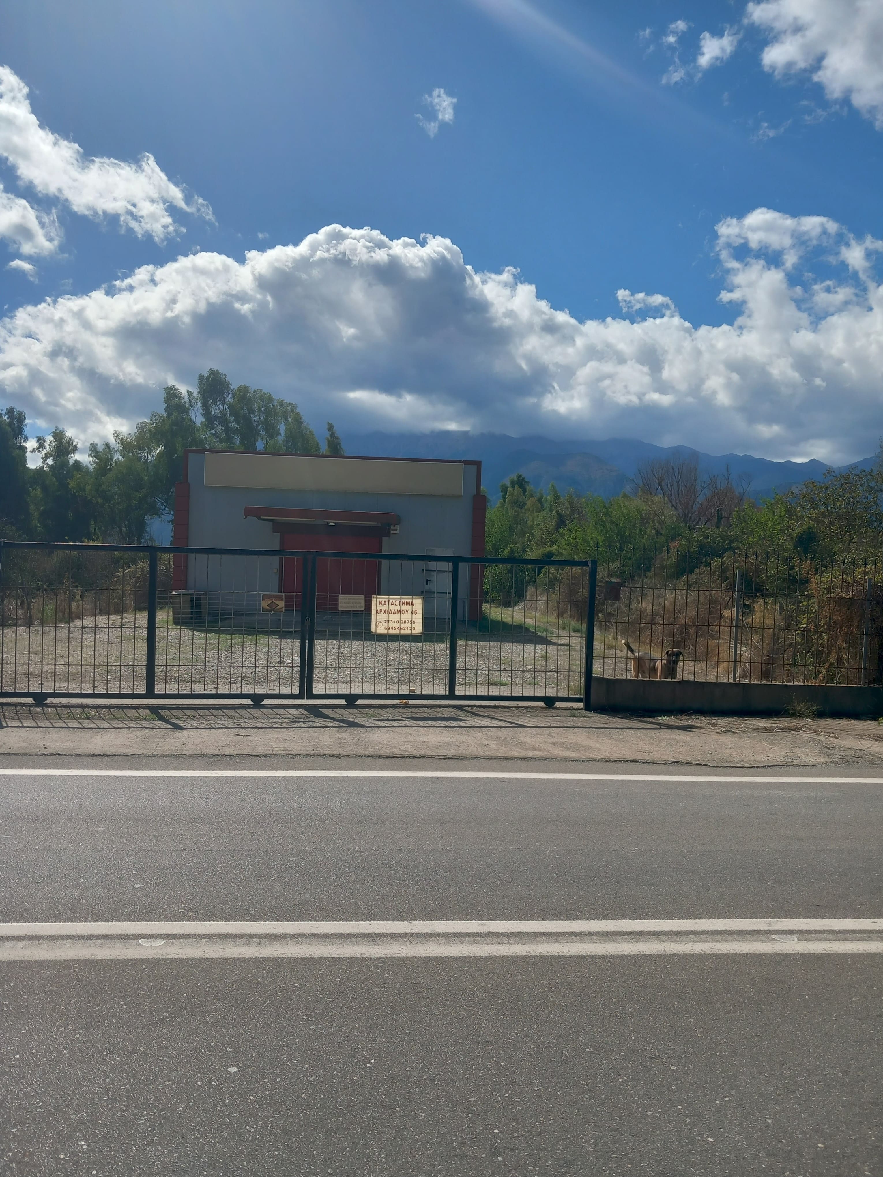photo4