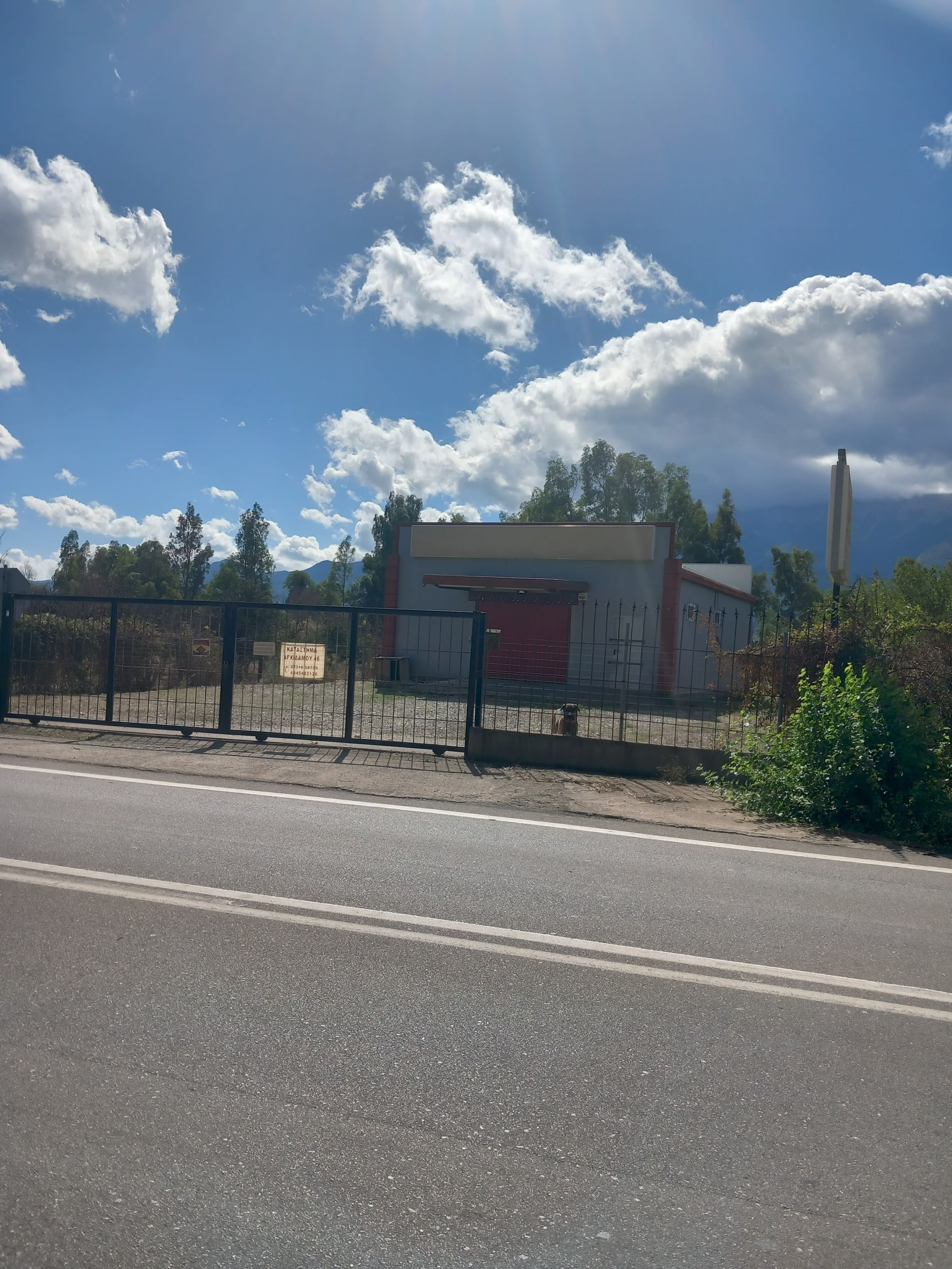 photo6