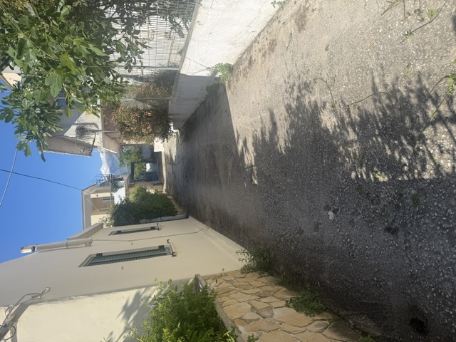 photo1