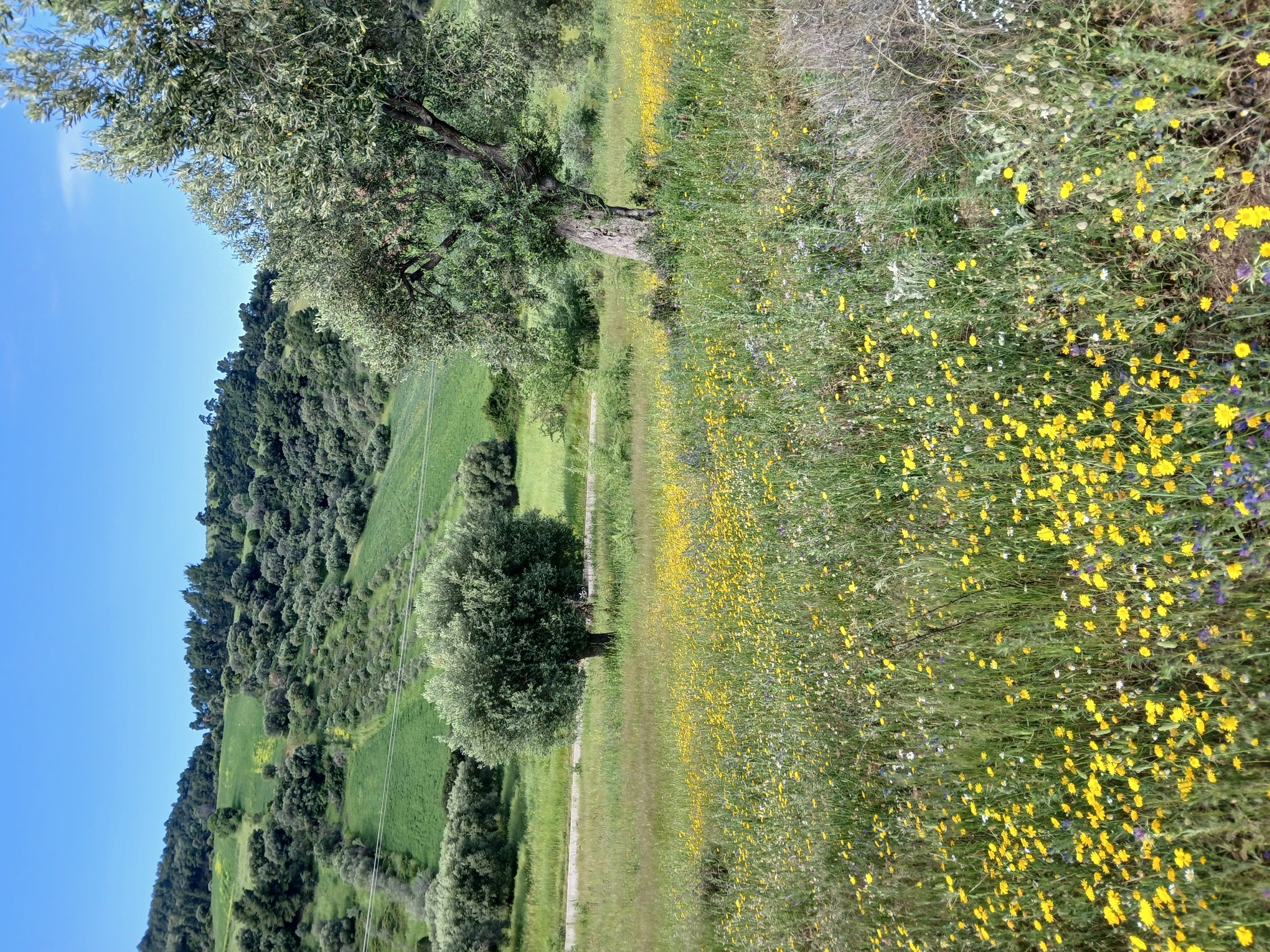 photo0