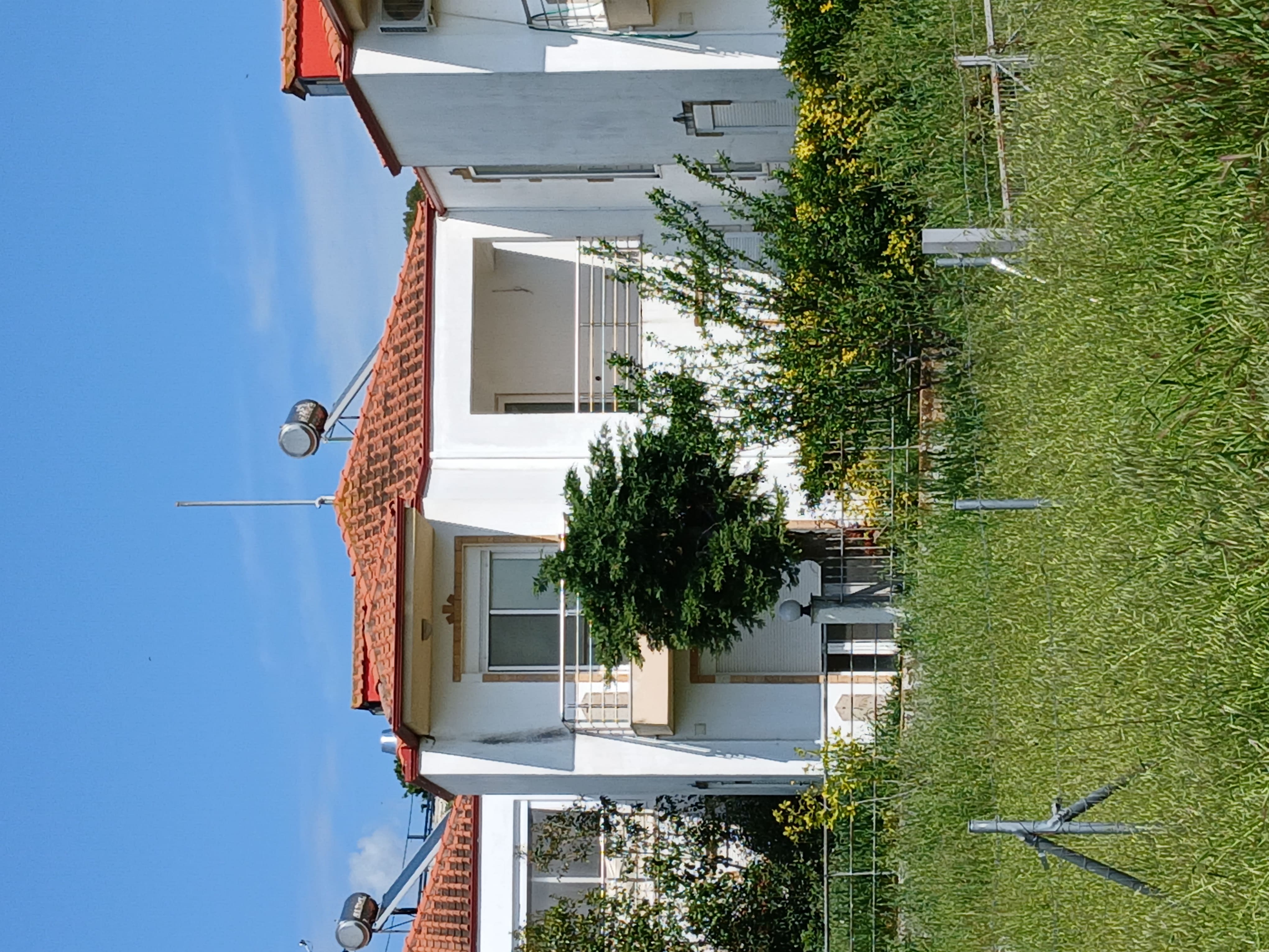 photo0