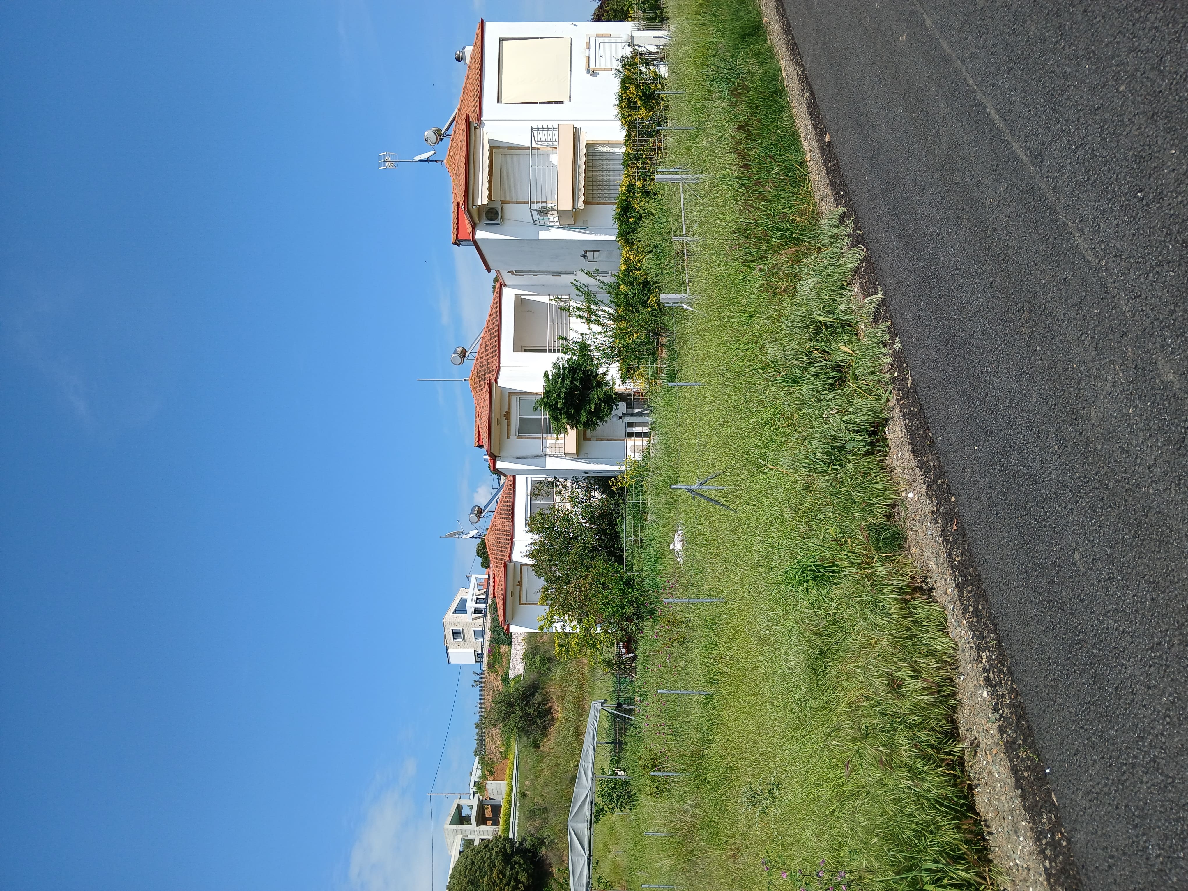 photo1