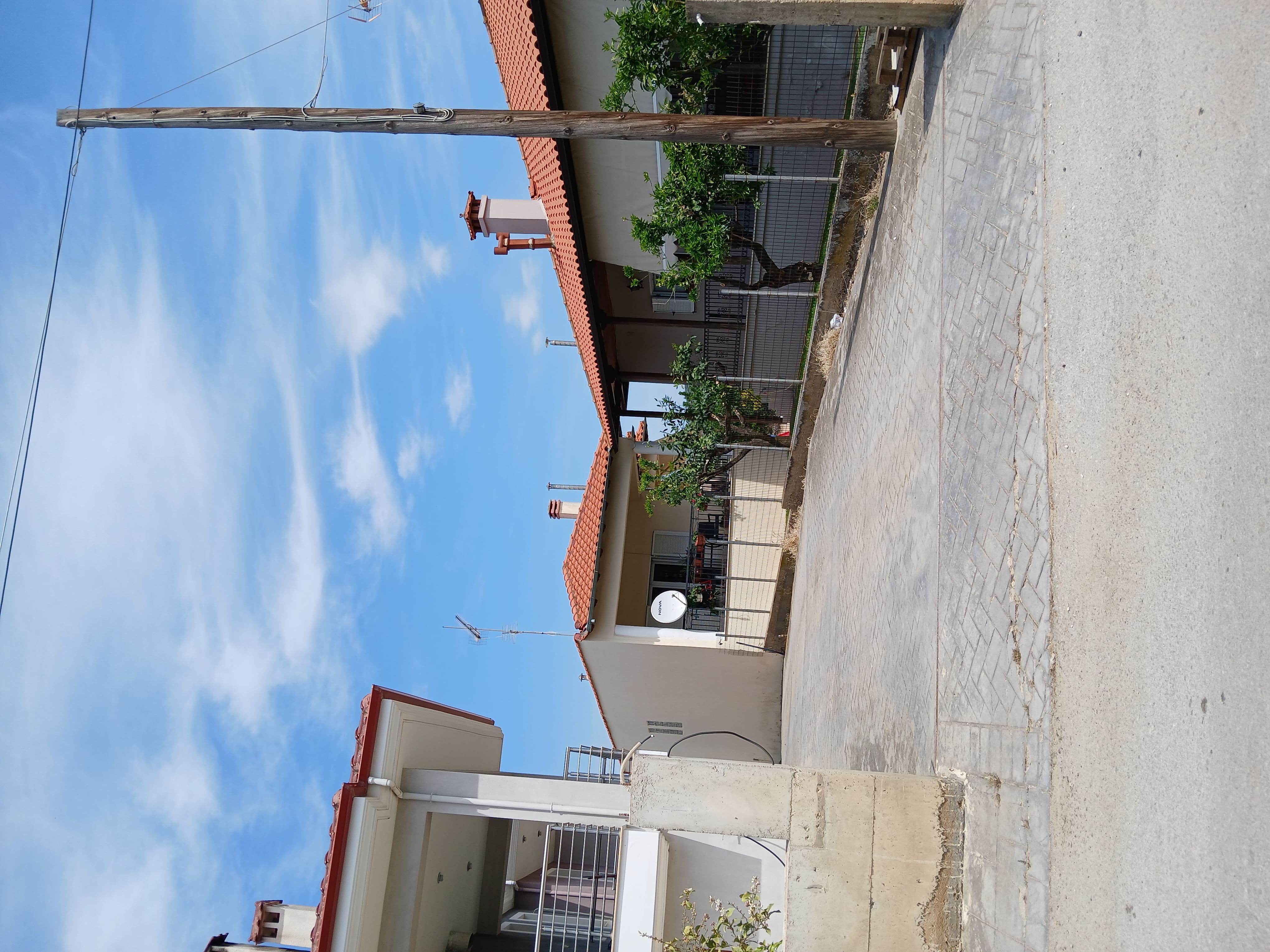 photo1