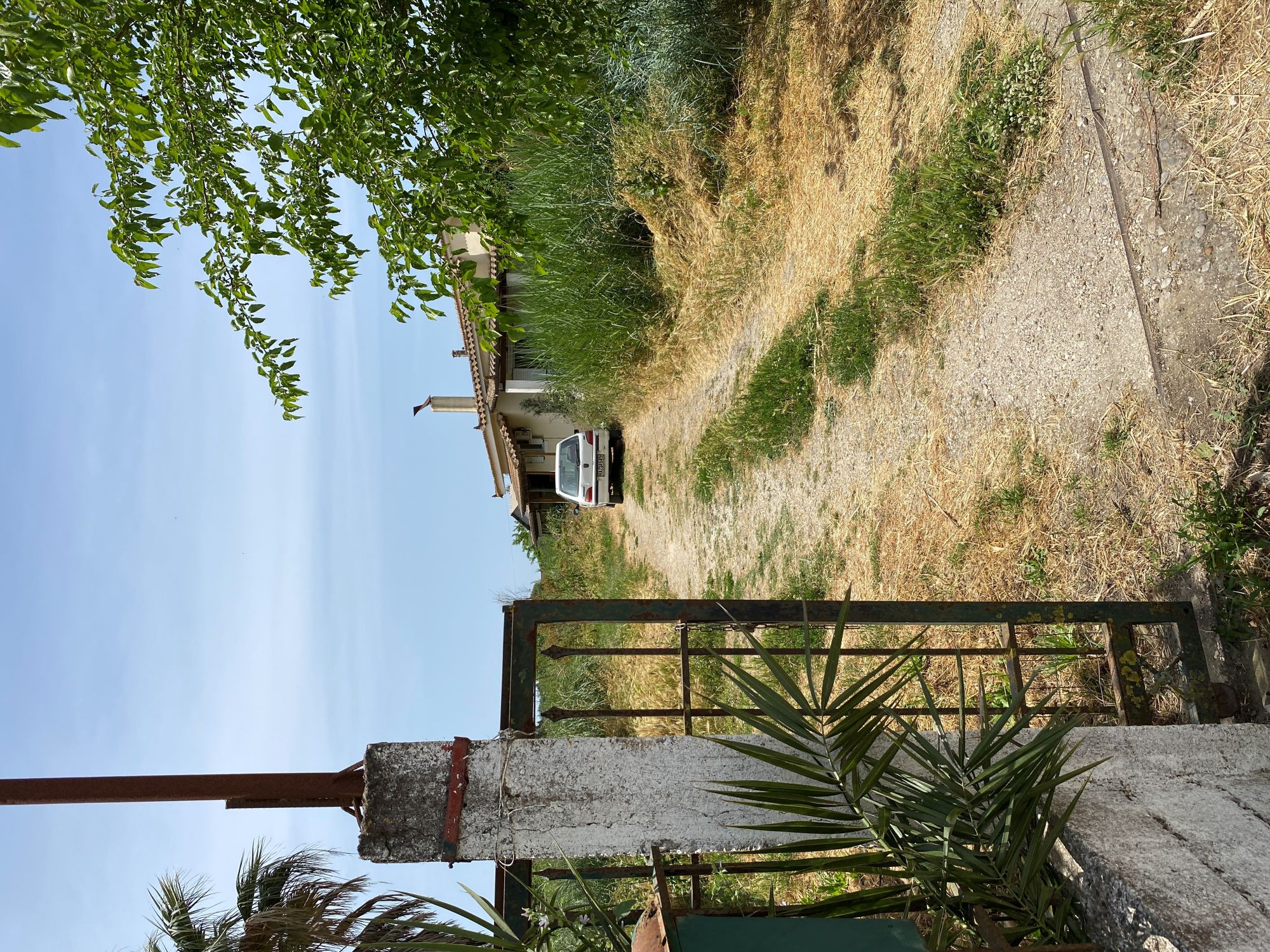 photo0