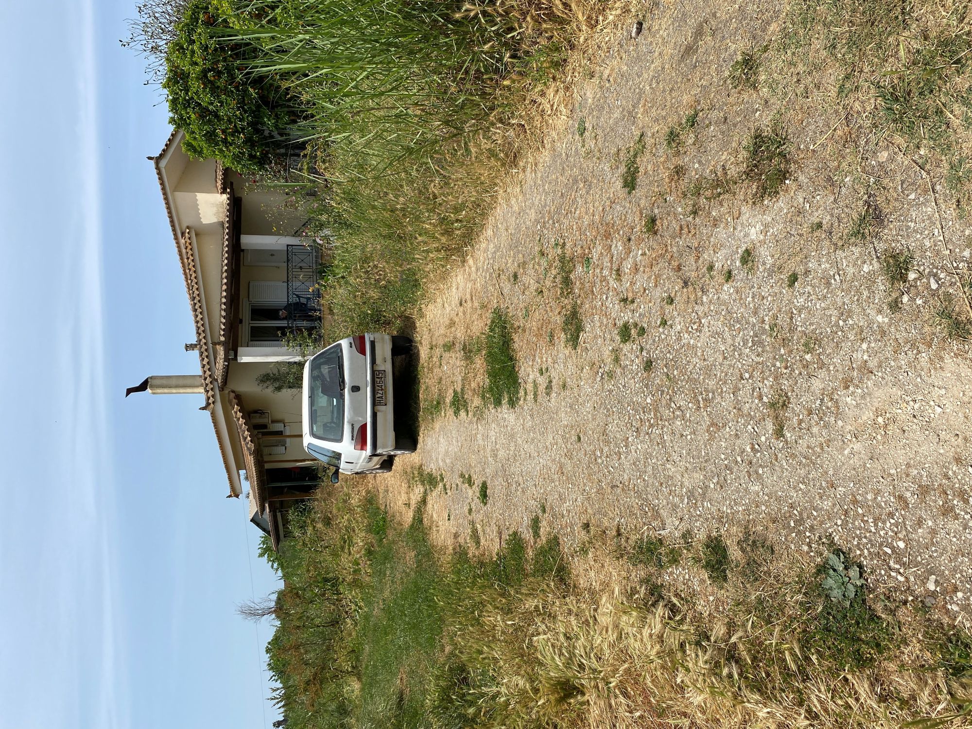 photo2
