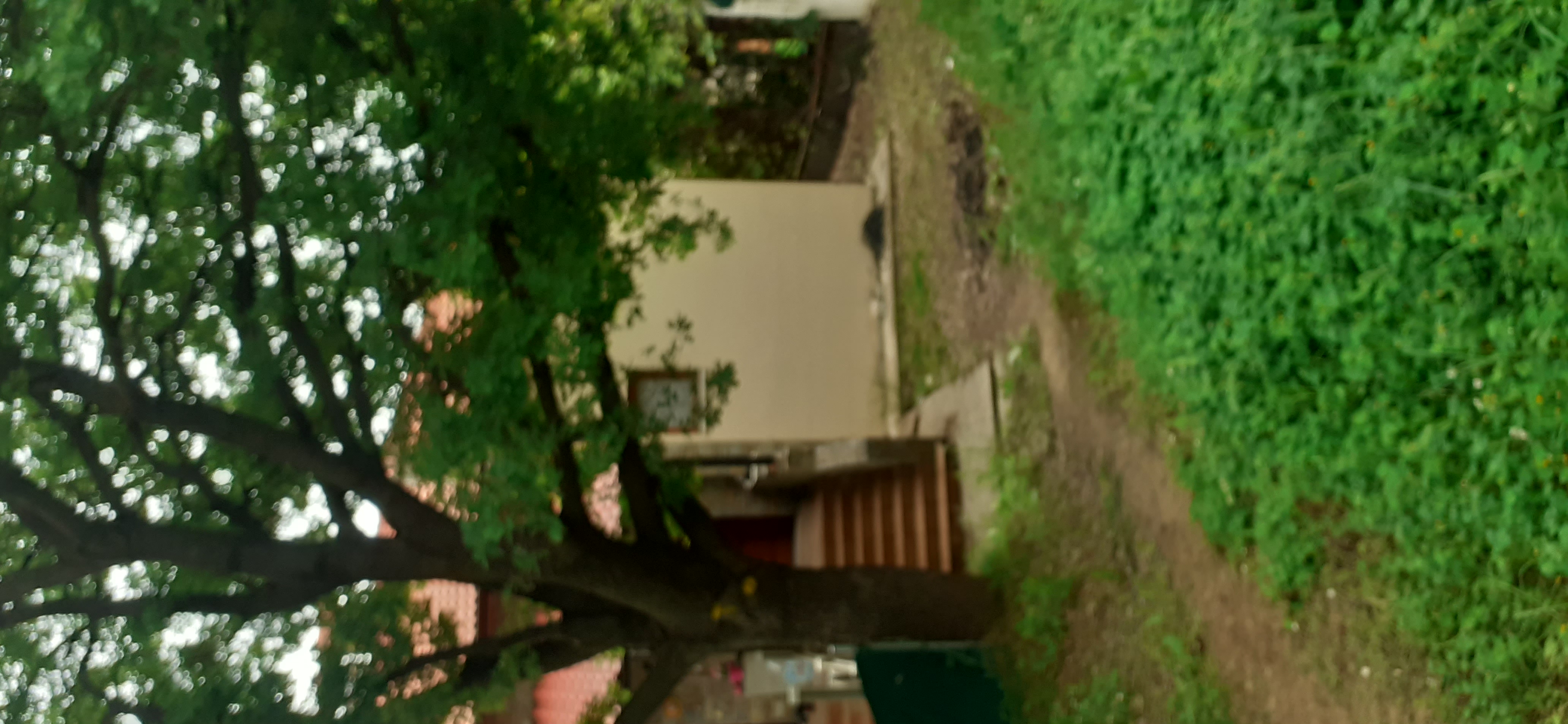 photo0