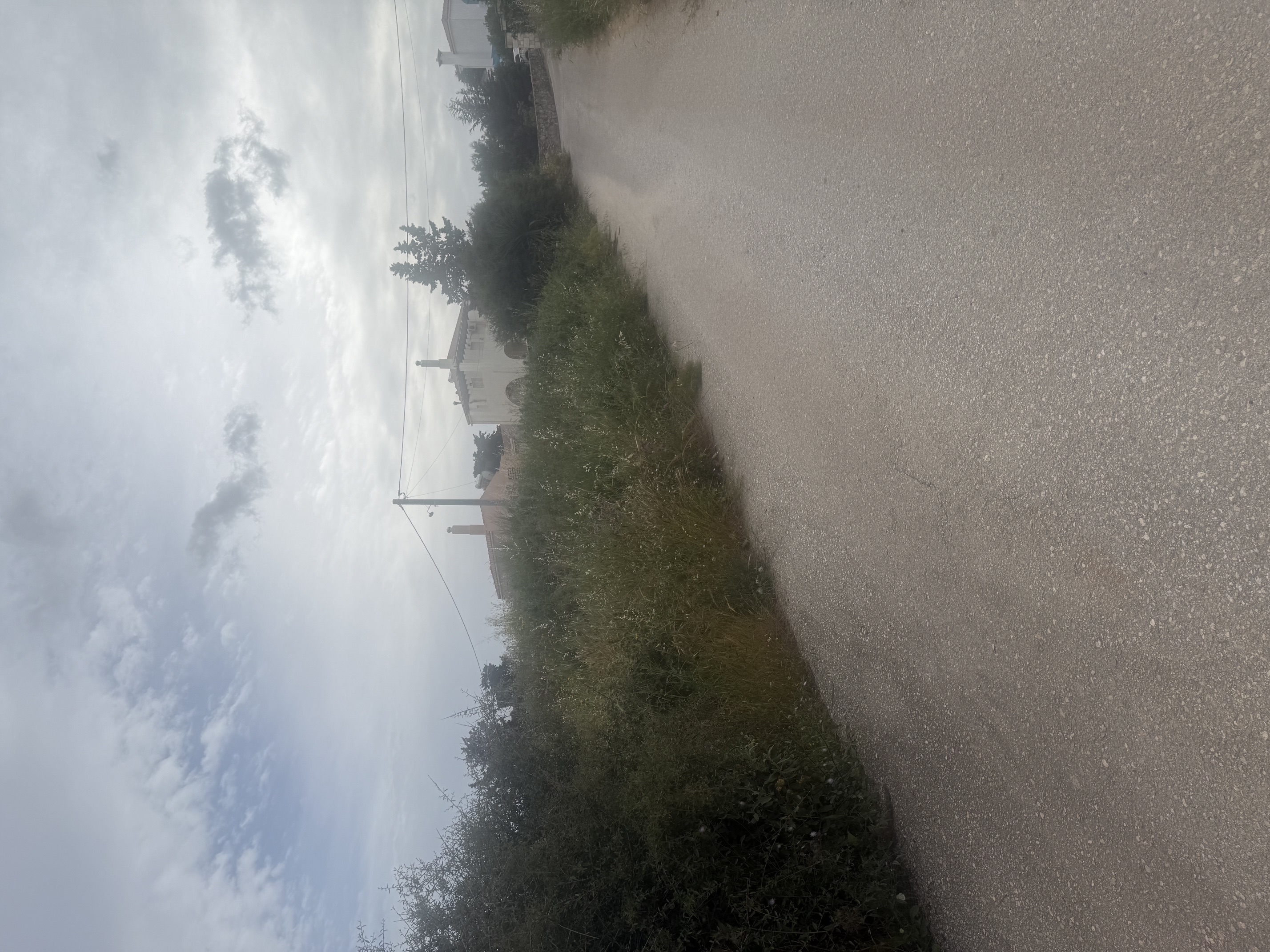 photo1