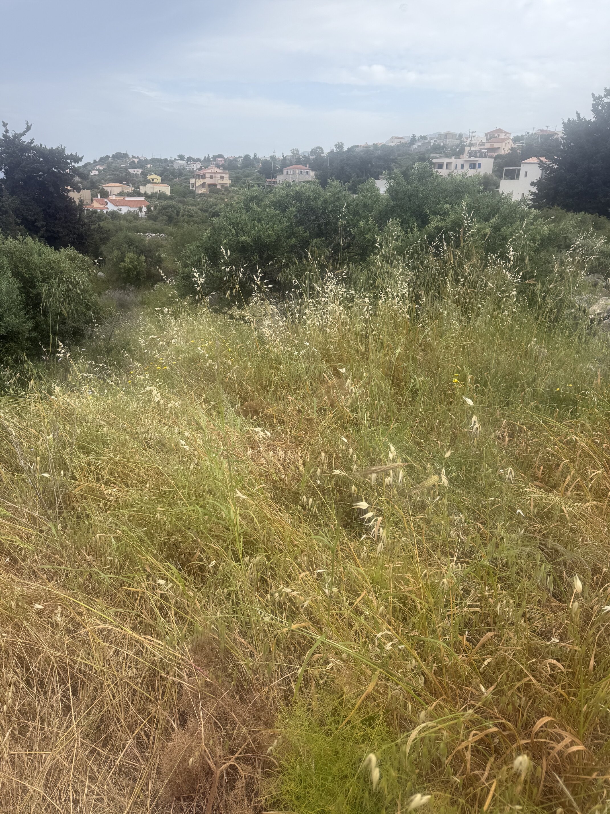 photo2