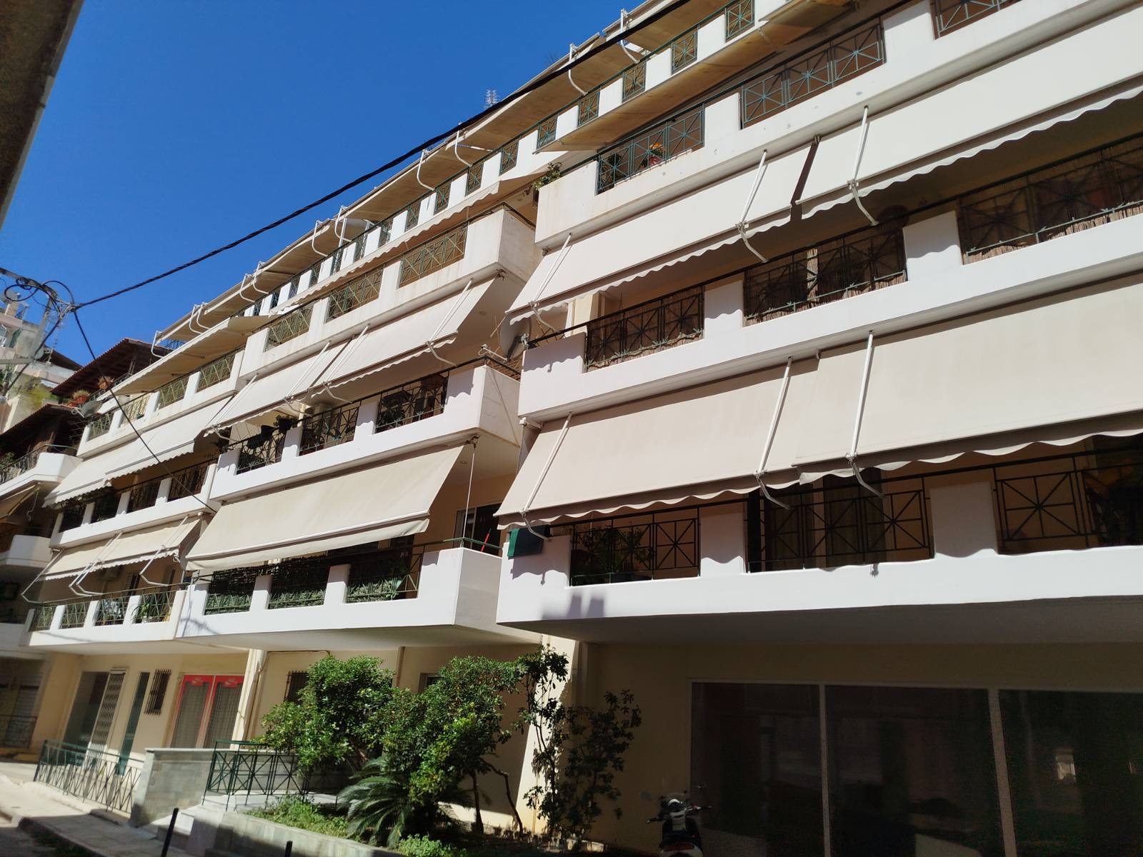photo1