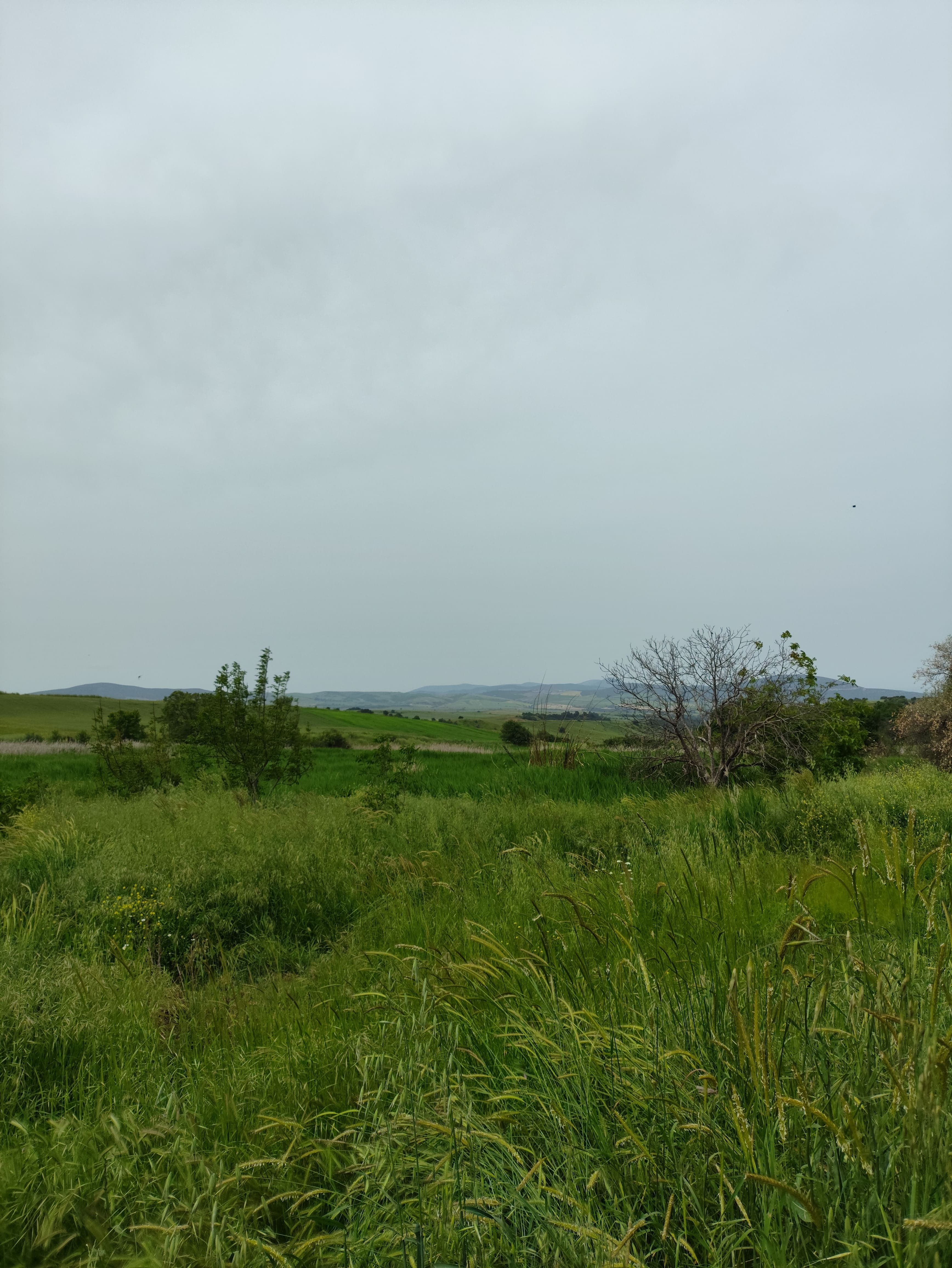 photo0