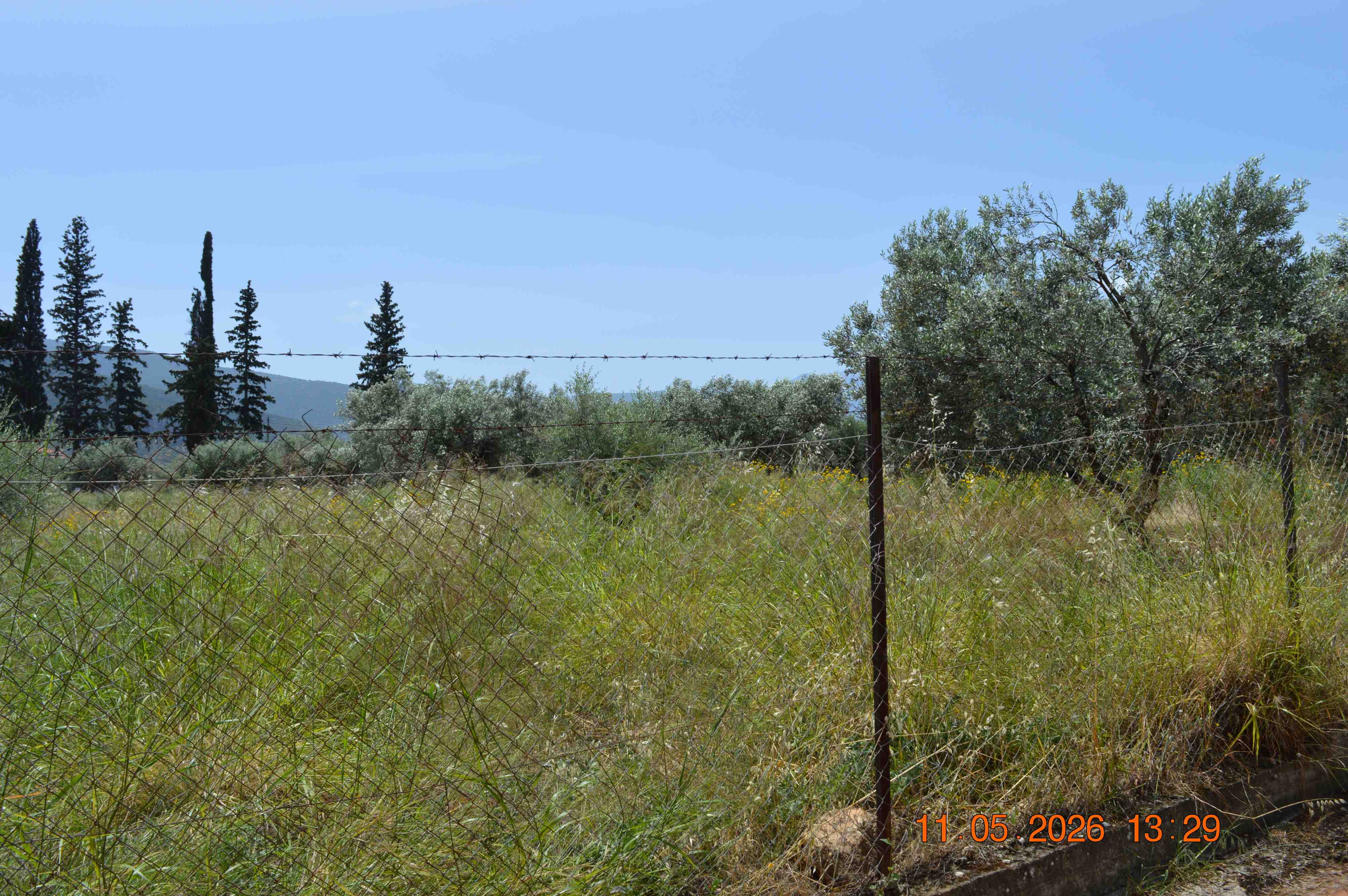 photo0
