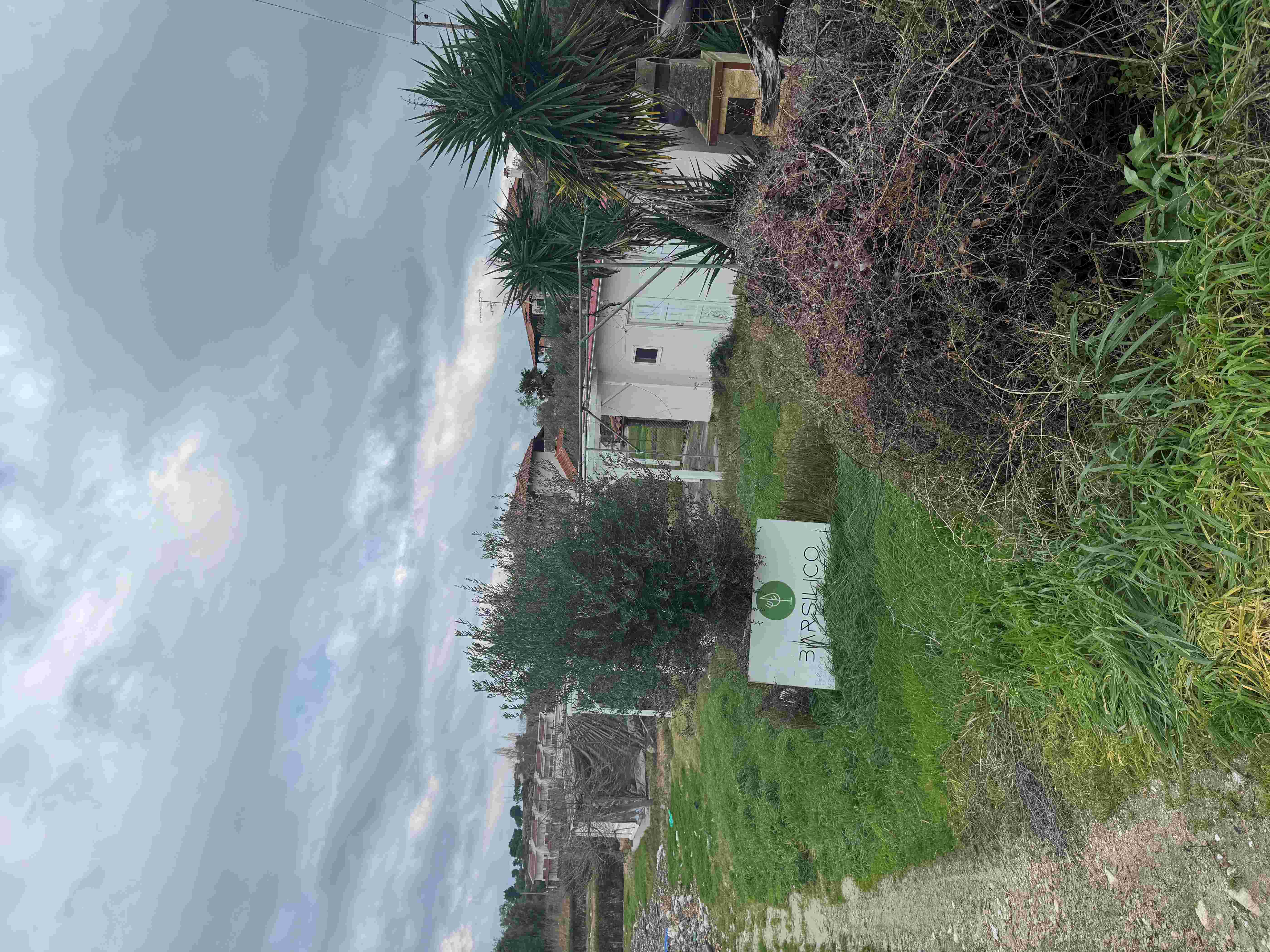 photo0