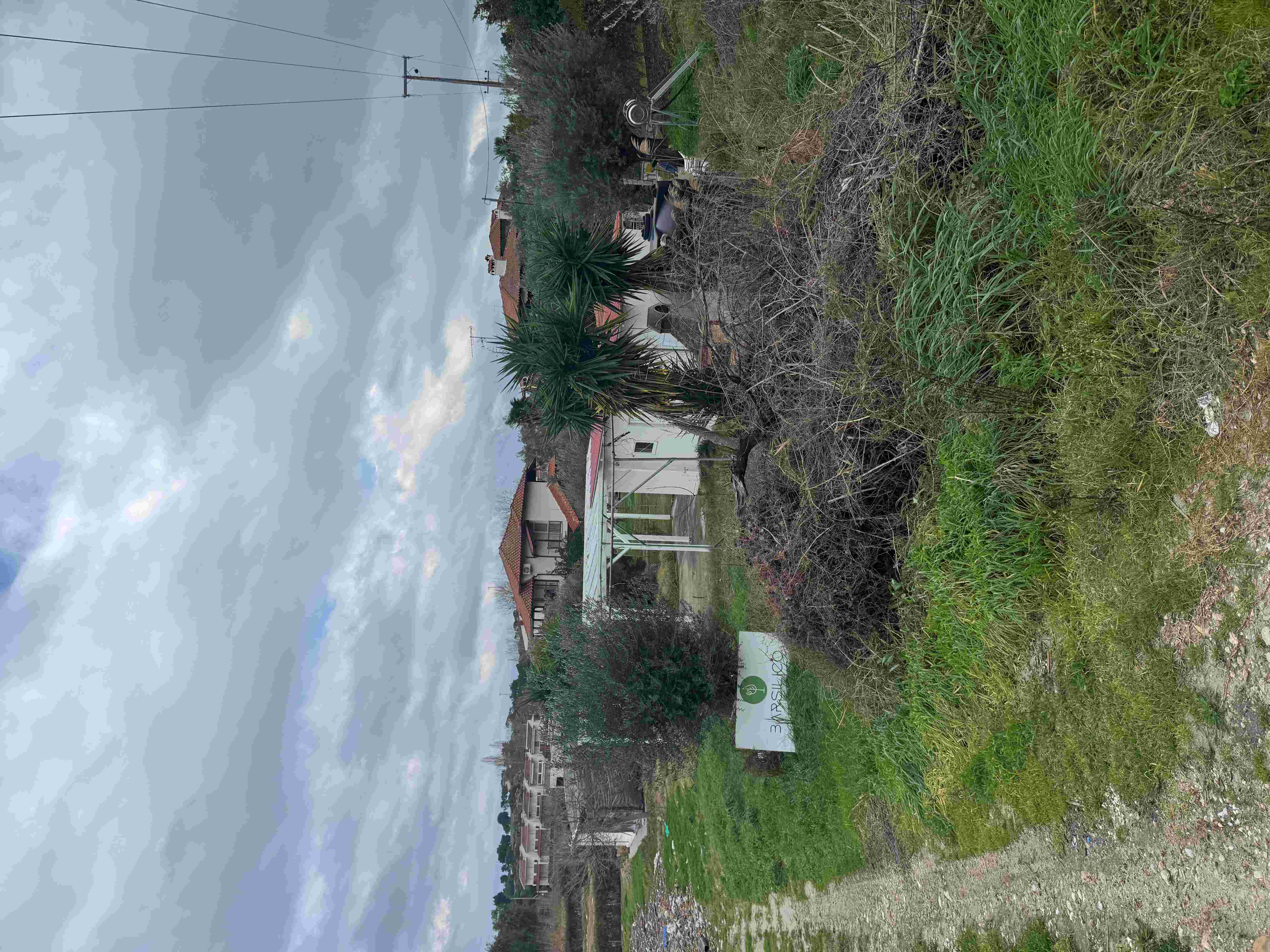 photo1