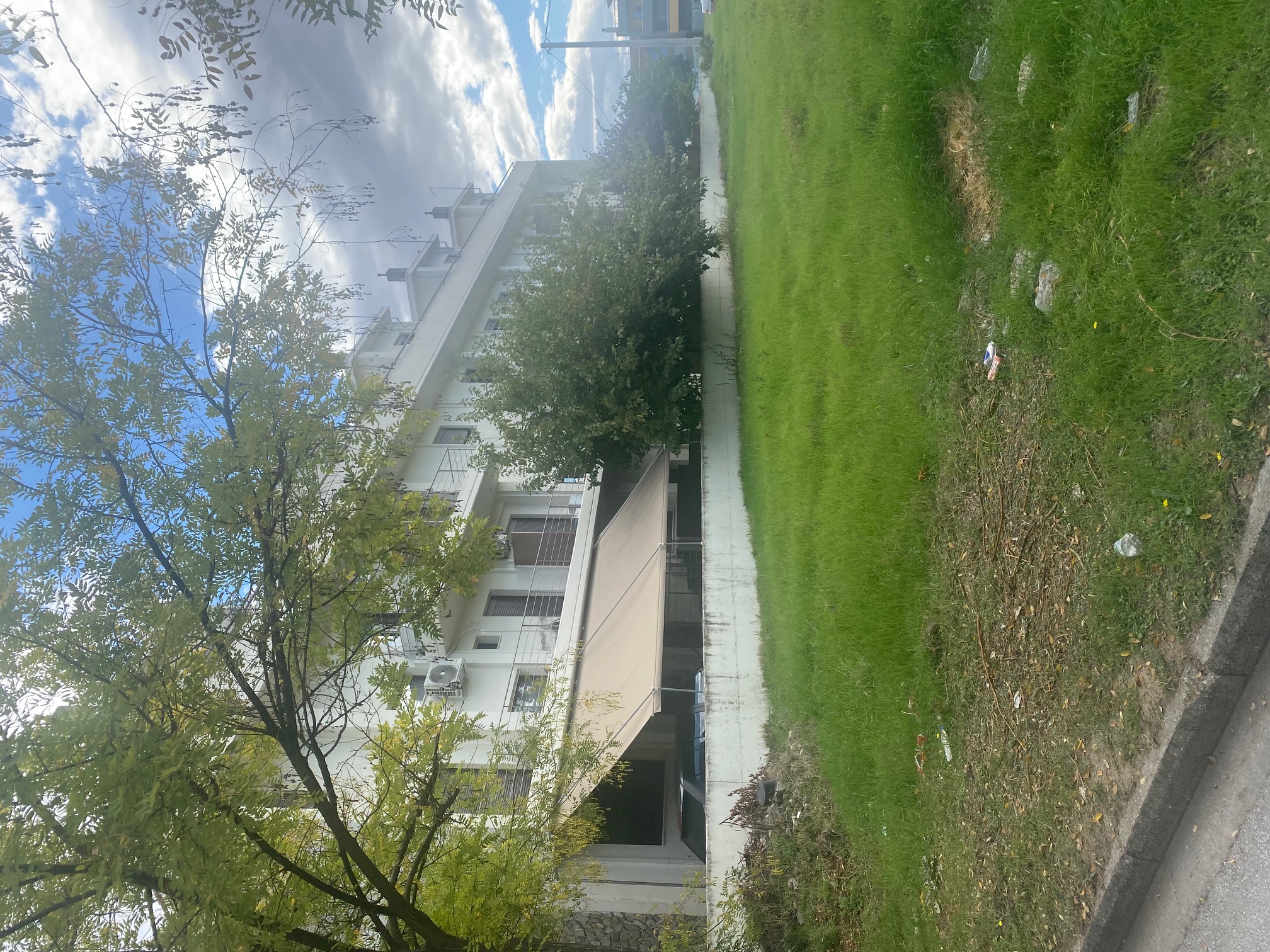 photo0