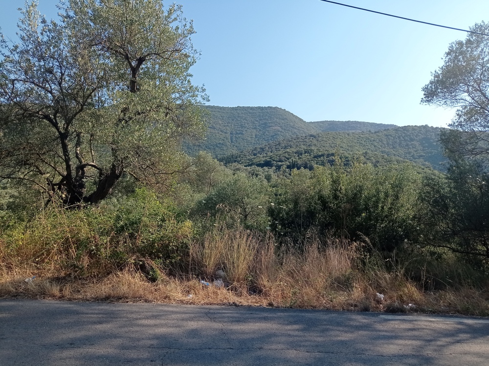 Αγροτεμάχιο  σε πλειστηριασμό Δήμος Ηγουμενίτσας