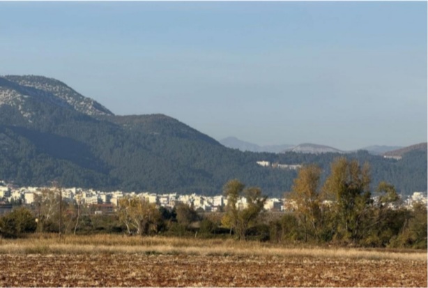 Αγροτεμάχιο  σε πλειστηριασμό Δήμος Αβδήρων
