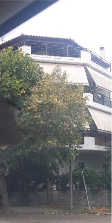 photo0