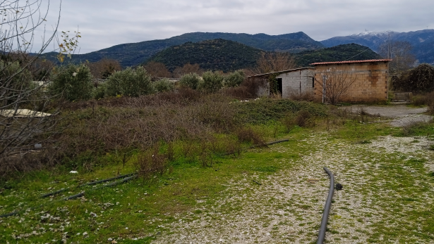 photo0