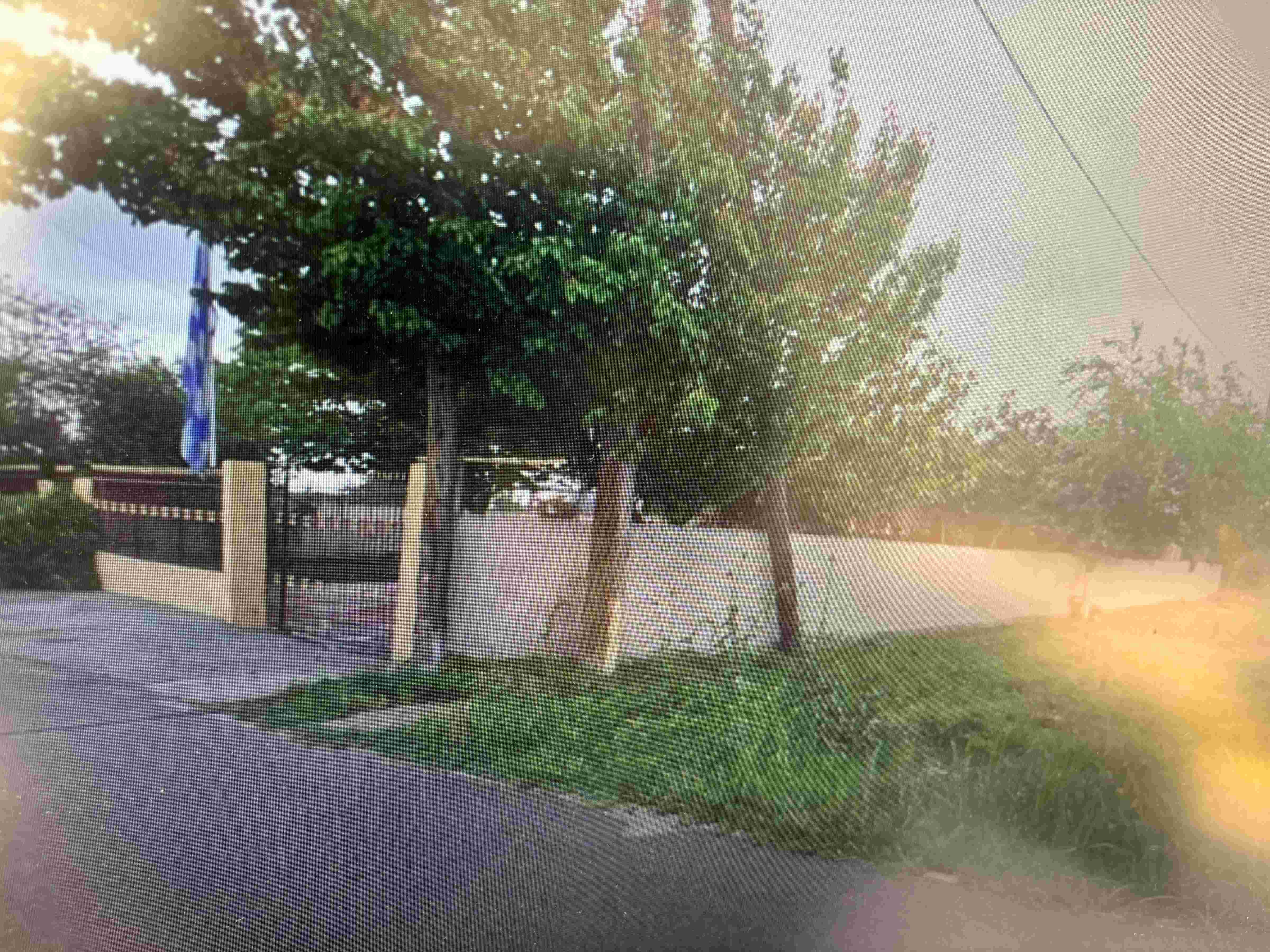 photo0