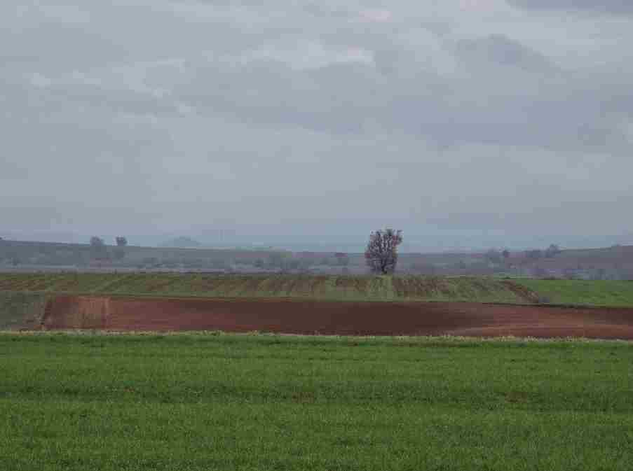 photo0