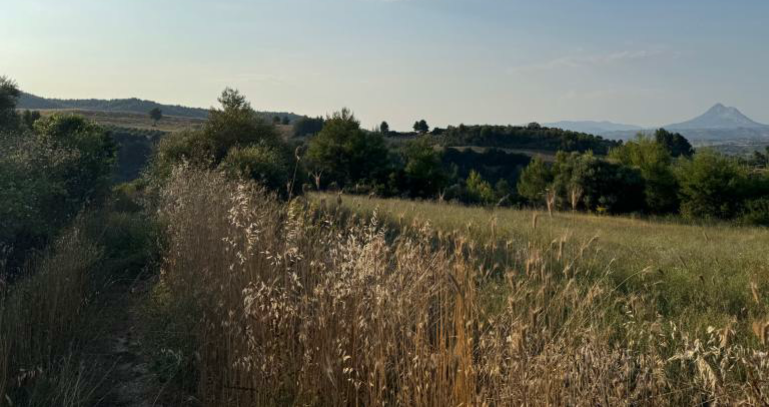 photo0