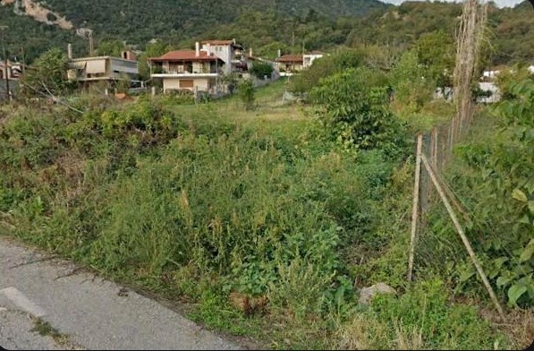 photo0