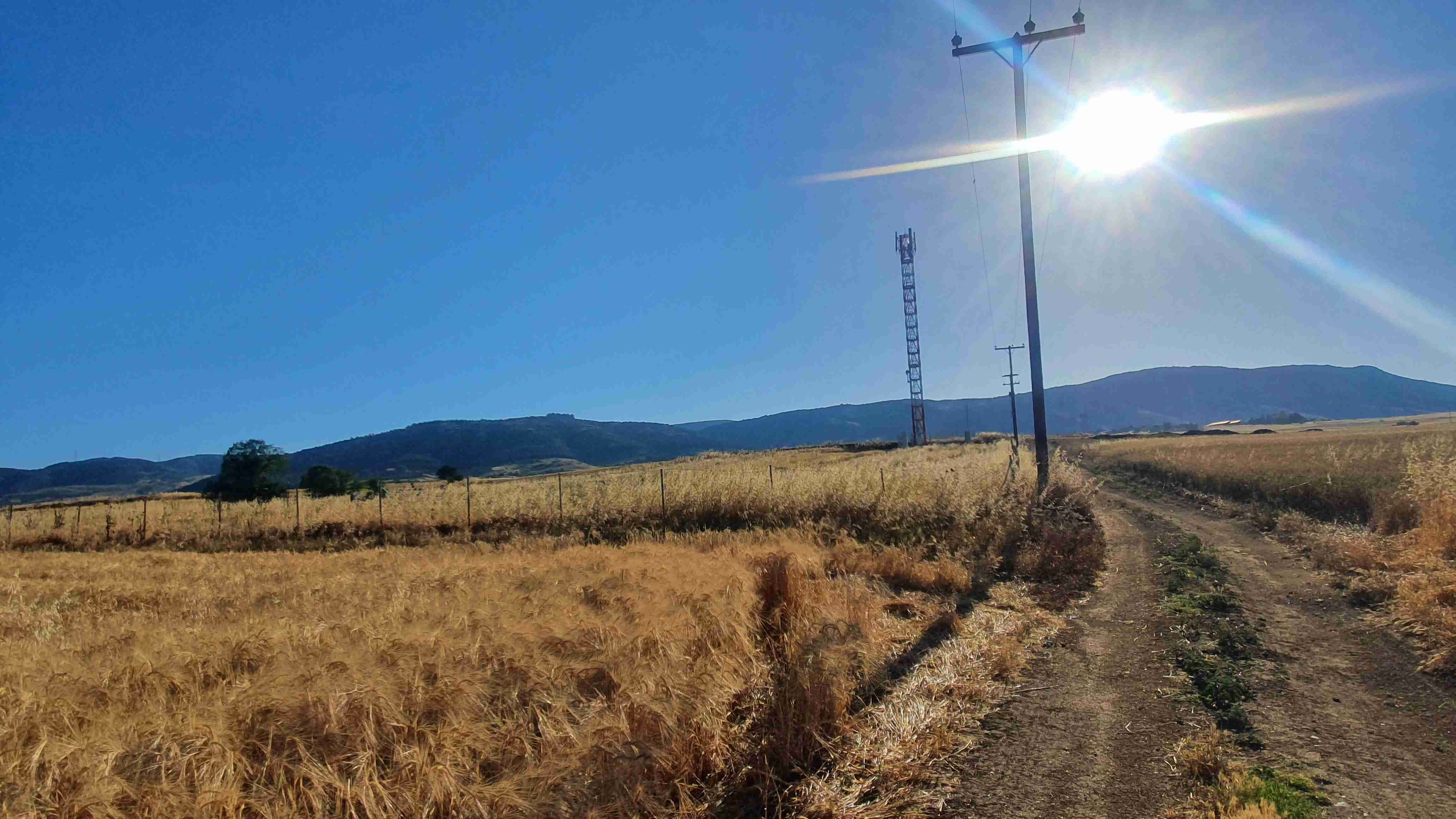 Αγροτεμάχιο  σε πλειστηριασμό Δήμος Ωραιοκάστρου