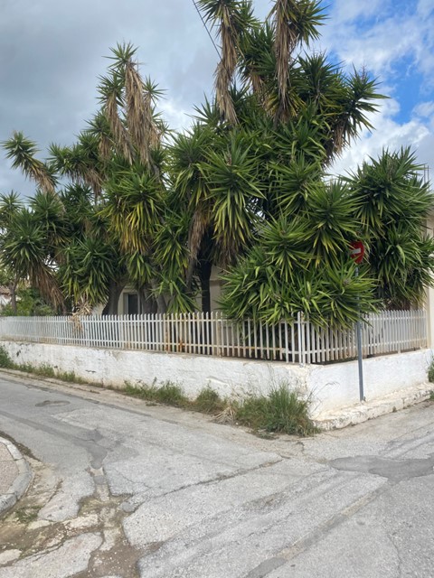 photo0