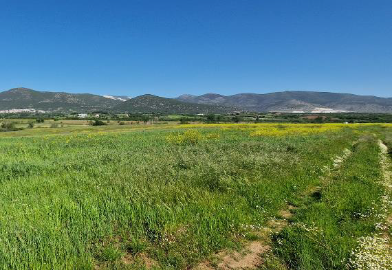 photo0