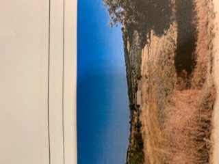 photo0