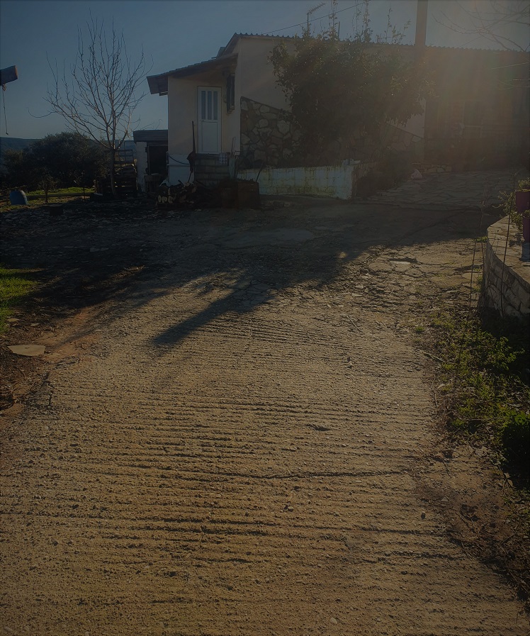 photo0
